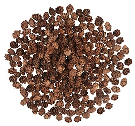 200 Stück Weihnachten Tannenzapfen,Natürliche Mini Thanksgiving Ornamente für Heimtextilien DIY Handwerk Weihnachtsbaum Herbst Winter Dekoration