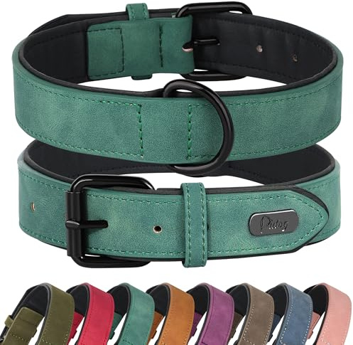 Didog Hundehalsband aus weichem, gepolstertem Leder, atmungsaktives, strapazierfähiges Hundehalsband aus Leder mit Verstellbarer, rostfreier Metallschnalle für mittelgroße und große Hunde, Grün, M