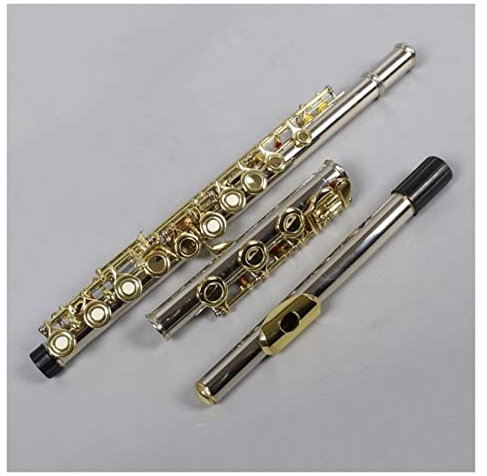 Flöte 17 Loch Open Hole Golden Key E-Key Professional Case Querflöte Anfänger