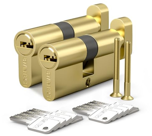 Bwintech 2 Pz Simile 30T/30mm Euro Cilindro in Ottone, 60mm ChiaveT/Chiave a Barile con 10 Chiavi Orizzontali in Ottone,Antipicking, Anti-perforazione, Anti-scatto, Anti-urto,Finitura in Ottone Lucido