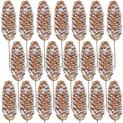 Winlyn 20 Stück natürliche Tannenzapfen für Weihnachten, schneebedeckte Fichte, Tannenzapfen, 15 cm, Weihnachtsbaumschmuck, hängende Tannenzapfen für Weihnachtsbaum, Kranz, Girlande, Basteln, Urlaub,