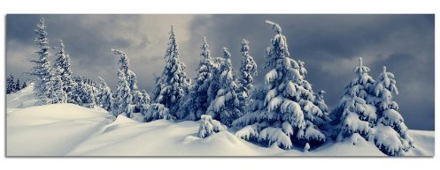 PANORAMA BILD in 150x50cm (Winterlandschaft Wald Tannen Fichten Schnee Bäume) TOP Bilder! Wandbild xxl günstig & modern ART PRINT Wandbilder Bilder EXKLUSIVES Fotowandbild auf Leinwand und Keilrahmen Bild Leinwandbild Fotodruck modern Zeitlos Stilvoll wie ein Gemälde Ausführung schöner Kunstdruck auf echter Leinwand als Wandbild mit Rahmen. Preiswerter als Ölbild Gemälde Foto Poster Plakat mit Bilderrahmen.