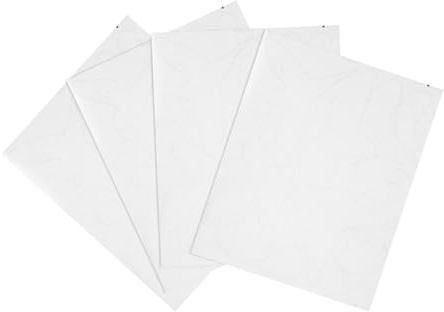 Cabilock Autocollants Anti-Collision pour Fenêtres et Portes Vitrées 4 Pièces Statiques Décoratifs Motif Oiseau-Mouche Feuilles et Plumage Film de Protection Adhésif Prévention des