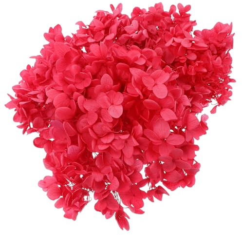 Yardenfun Boîte de Fleurs Immortelles Naturelles D'hortensia Séchées, Matériel Floral DIY pour Décoration Maison, Fleurs Soi-même, Couleur Rouge Vif, Lot Unique pour Création Artisanale