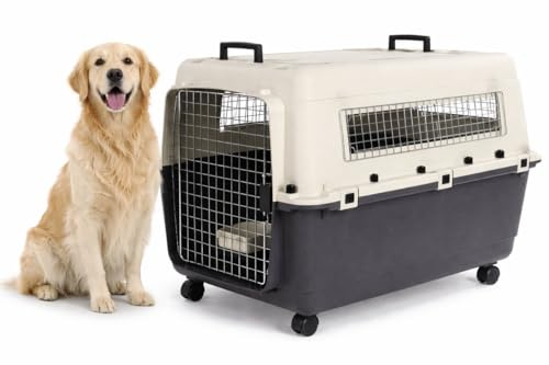 hundebox Auto - transportbox Hund - Flamingo Fomad dunkelgrau - XL 60 x 90 x 68,5 cm - robuster Kunststoff - Metalltür - Sicherheitsverschluss - 2 Tragegriffe
