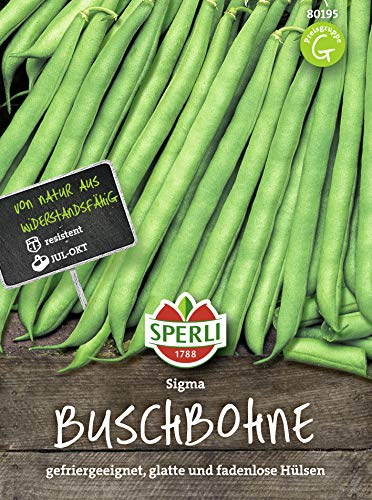 Sperli 80195 Buschbohne Sigma (Buschbohnensamen)