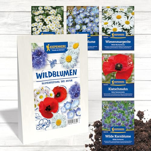 Kiepenkerl Profi-Line Blumensamen-Set Wildblumen 'Blütenfestival der Natur' - Vielfalt an Wilde Blumen (Samen), Gänseblümchen, Liebeshainblume & Wiesen-Margerite für Gartenfreunde