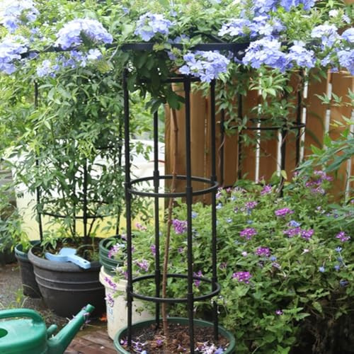 Enrejado de obelisco metálico para plantas trepadoras que apoya el crecimiento vertical para varias vides en el jardín o para espacios interiores (125 cm)