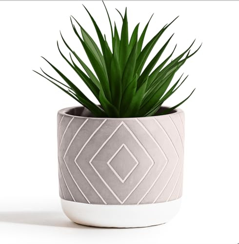Kurrajong Farmhouse 8 high Artificial Plant in Pot - Small Faux Plant for Desk, Bathroom, Shelf & Coffee Table - Realistic Fake Plant for Home Decor