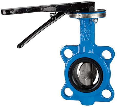 RIEGLER 103682-350.6050B - Valvola di arresto per flangia, DN 50, 1 pezzo