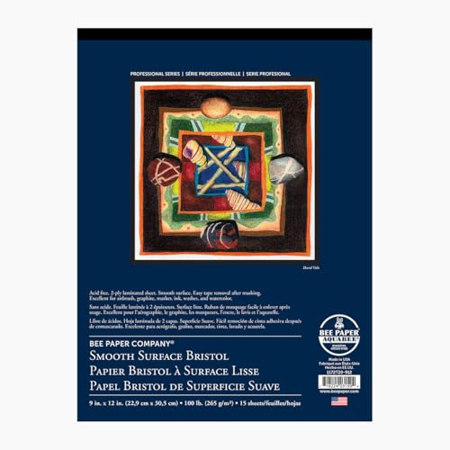 Bee Paper 2-Ply Plate Bristol Pad, 11-Inch by 14-Inch