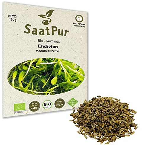 100g BIO Keimsprossen Endivie Samen Sprossen Keimling Saatgut Microgreens Mikrogrün Sprossenanzucht
