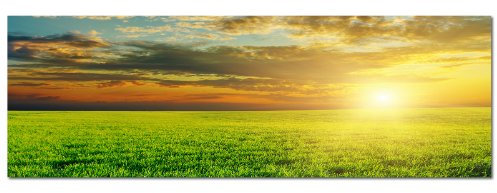 PANORAMA BILD in 150x50cm TOP Bilder! (Grüne Wiese Gelbe Sonne) Wandbild xxl günstig & modern ART PRINT Wandbilder Bilder EXKLUSIVES Fotowandbild auf Leinwand und Keilrahmen Bild Leinwandbild Fotodruck modern Zeitlos Stilvoll wie ein Gemälde Ausführung schöner Kunstdruck auf echter Leinwand als Wandbild mit Rahmen. Preiswerter als Ölbild Gemälde Foto Poster Plakat mit Bilderrahmen.