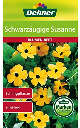 Dehner Blumen-Saatgut, Schwarzäugige Susanne, 5er pack (5 x 1.5 g)