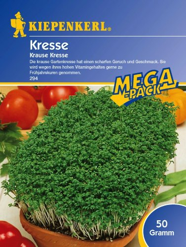Sperli Gemüsesamen Gartenkresse krause, grün