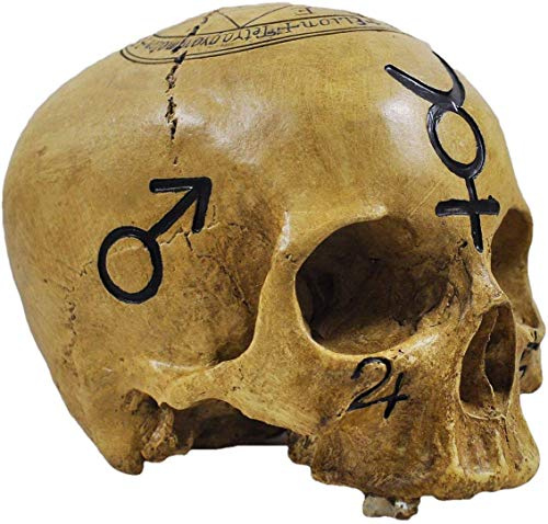 Totenkopf Hexerei Schädel Dekofigur