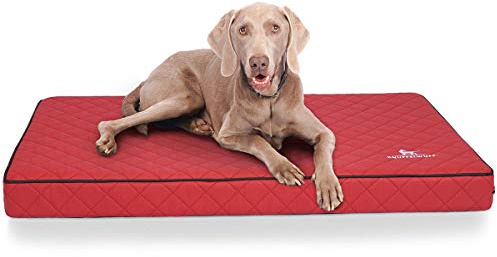 Knuffelwuff Orthopädische Hundematte Juna Hundebett aus laser gestepptem Kunstleder waschbar Hunde ortho orthopädisch memory XXXL 136x84cm Rot Übergröße für große Hunde