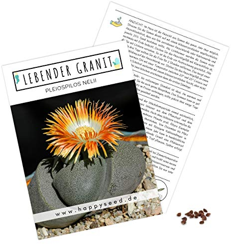 Semi di cactus esotici ad alto tasso di germi – Set di semi di piante grasse per il vostro cactus meravigliosamente fiorito.