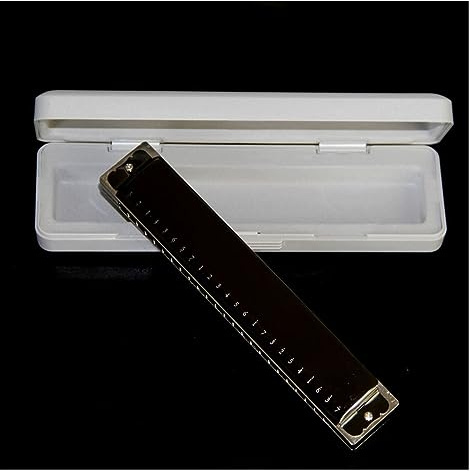 24-Loch-Tremolo-Mundharmonika In C-Taste, Schwarze Sitzplatte Aus Messing Mit Koffer Mundharmonika Musikinstrument