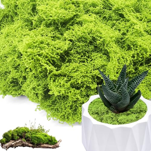 200g/100g Kunstmoos Zum Dekorieren,Kunstmoos Zum Basteln,Moos Zum Basteln,Künstliches Moos Deko,Kunst Moos,Fake Green Moss Perfekt Für DIY Moosbilder,Mooswände,Aquarien & Miniaturlandschaften (200g)