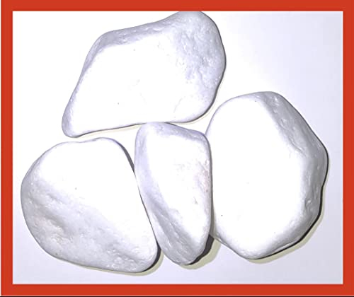 Sasso Ciottolo Bianco Brillante Marmo Thassos. Grande Diametro cm. 4,00-8,00. Confezione Materiale è Naturale e Quindi può assorbire Le “colorazioni da Cose Vicine Tipo Terra”kg. 7.00.