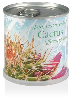 BikeCap – Cubre Flores en caja de lata – Cactus – Cactus