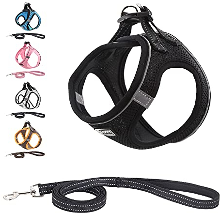 Suredoo Hundegeschirr mit Leine Anti Zug Geschirr Reflektierend Brustgeschirr für Kleine Hunde, Haustiere, Welpen, Katzen (Schwarz, XXS)