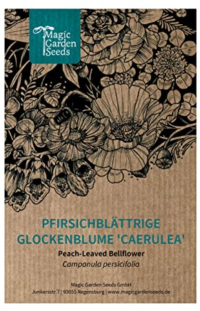 Pfirsichblättrige Glockenblume 'Caerulea' (Campanula persicifolia) ca. 750 Samen der mehrjährigen Staude für den naturnahen Garten, Bauerngarten, Rosenbeet