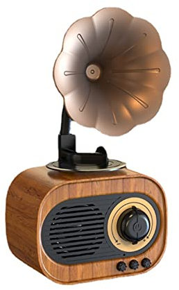 ERLUN Altoparlante A Forma di Grammofono, Giradischi per Grammofono Giradischi Radio Portatile retrò Vintage per La Decorazione Domestica con USB, BT5.0, Lettore di Schede TF