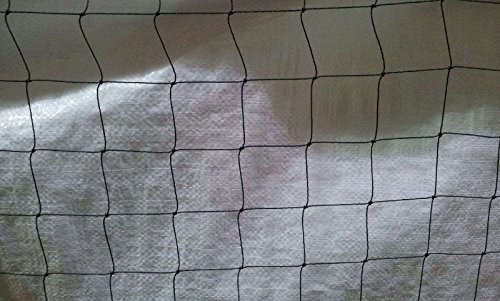Anti Bird Netting 4 x 6mtr Rotproof