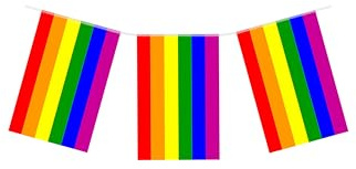 Pride Designed 7m Nylon Party Bunting Flags