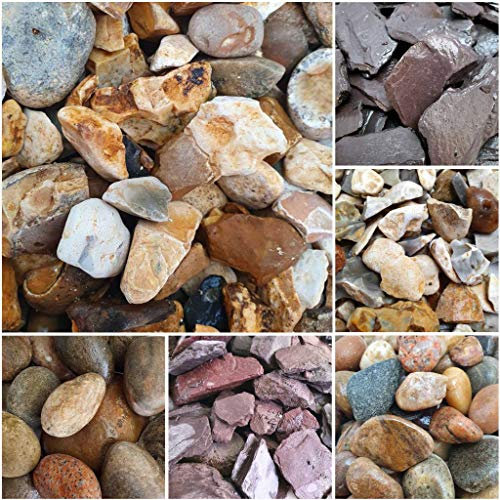 Elixir Gardens Decorative Coloured Stones Pebbles Cobbles Slate Paddlestones Gravel Chippings Aggregate Various Sizes 1kg-1000kg | (5kg, Golden Gravel 10-20mm)