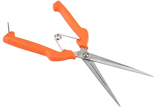 Forbici da Giardino in Acciaio Inox Forbici da Potatura da Giardino in Acciaio Inossidabile Forbici da Giardinaggio Forbici da Innesto Piante da Fiore Ramo Forbice da Potatura per Bonsai