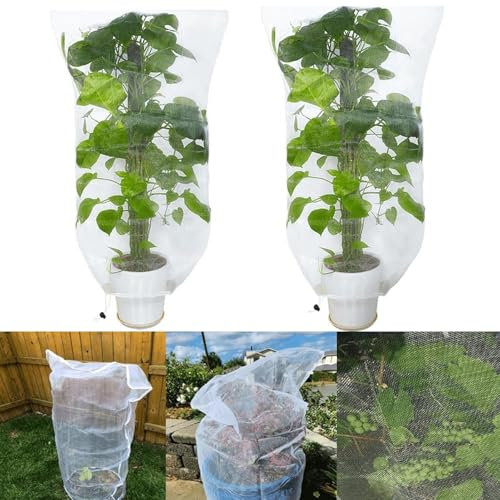 RCYONGQ Filet Anti-Oiseaux pour Arbres fruitiers Anti-Insectes, Anti-Oiseaux Lot de 2 Arbres fruitiers, Filet de Protection Robuste pour légumes et Fleurs, Petits Arbres 240X240CM