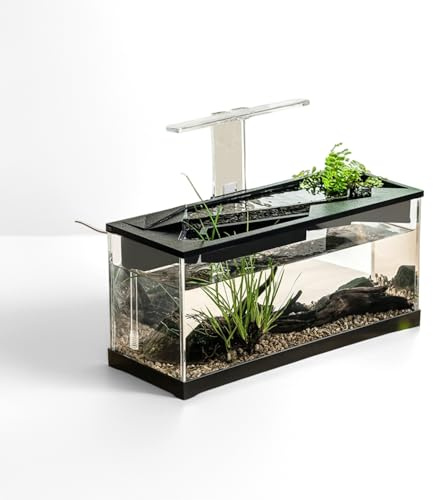 Aquarium Starter Set, Transparenter Desktop Fischbecken Mit Wasserpumpe UNH Licht, Aquarium Komplettset Ökologischem Kreislaufsystem, Fischtank für Fische und Wasserpflanzen, 38 x 14,5 x 18 cm