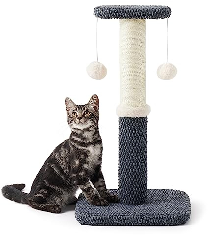 Lesure Indoor Kratzstamm kleiner Katzen – 57 cm Kratzsäule für Katzen mit Plattform aus strapazierfähiger Teppichstoff, Kratzbaum klein Katzen stabil mit Sisal und hängendem Ball, dunkelgrau