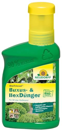 Neudorff BioTrissol Buxus- & IlexDünger - Bio-Dünger für gesunde, tiefgrüne Buxus, Ilex und Immergrüne im Kübel, 250 ml