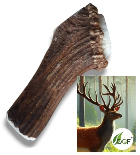 OGF® Hirschgeweih Hund Ganze 151-220 g/Ca 15 cm –Natur Kaugeweih – Langlebiger Kausnack für Hunde – 100% Natur, Zahnreinigung, Mineralstoffe, Starker Kauknochen für große Hunde