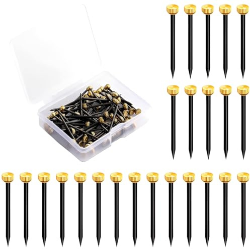 PHYNDR Conjunto de 60 clavos para cuadros, para marcos, bacheche, tela