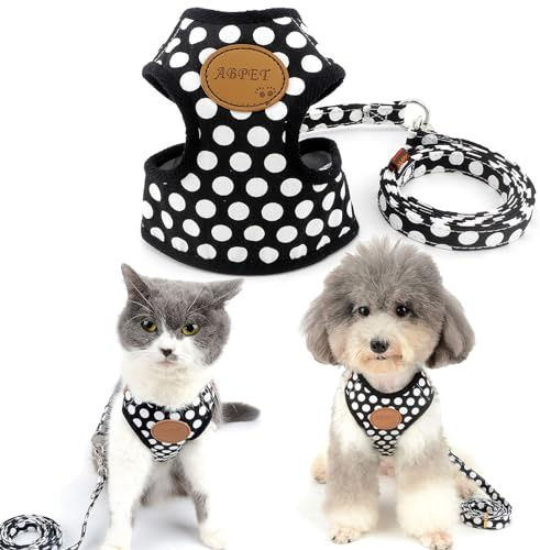 SMALLLEE_LUCKY_STORE Hundegeschirr mit Leine und weicher Nylon-Netzweste für kleine Haustiere, Katzen-/Hundegeschirr