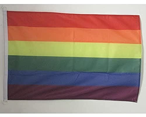 AZ FLAG Bootsflagge Regenbogen 45x30 cm Mesh-Polyester Kunststoffringe | Für außen und Boote Schwul Bootsflagge wetterfest mit doppelten Nähten und verstärkten Kanten