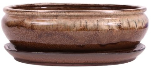 Bonsai - Schale oval 30.5 x 24.5 x 10.5 cm, beige/braun, mit Untersetzer 41120