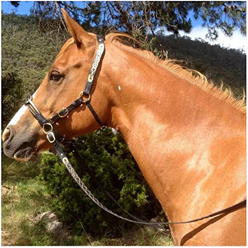 FHXYZ Bridon English Horse - Brides d'équitation réglables en cuir - Pour chevaux, licol pour cheval - Accessoires d'extérieur et équipement de course de cheval - Noir