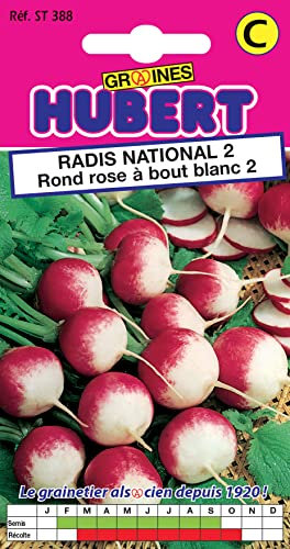 Graines de Radis National 2 rond rose à bout blanc 2-10 grammes
