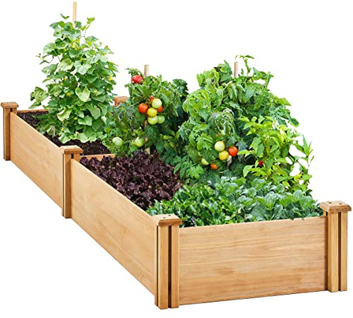Abician Carré Potager en Bois Bac Potager Surélevé en 2 Casiers Potager Extérieur/Intérieur 245.5 x 62.5 x 27 cm