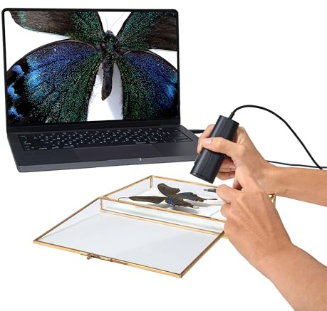 Ipevo P2V Ultra 4K/13MP Object Camera with Camera Clip, 1cm Super Macro Focus, Handheld & Doc Camera, Built-in Mic with AI Noise Reduction, for Close-up Demo, Teaching & Online Meeting