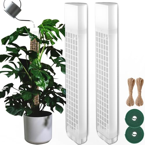 BDHHFAM Bâton de mousse auto-arrosage en forme de D - 2 supports de plantes robustes en plastique de 44 cm pour plantes d'intérieur - Bâton de mousse de 80 cm pour l'entraînement des plantes qui