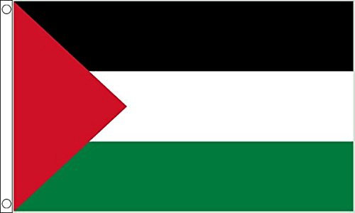 3Ft x 2Ft Flag Palestina Bandiera Piccolo