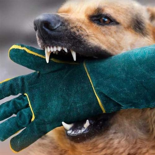 TRTDYFKH Manchon de Protection Contre Les morsures for Dressage de Chiens Gants Anti-morsures épaissis et étendus, Dressage de Chiens Lézard Anti-Morsure Moniteur Anti-Capture Lézard Taïga Serpent