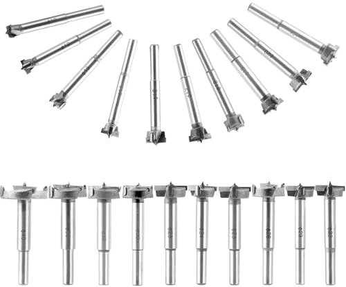 Oungy Set di 20 punte Forstner, Ø 10 – 40 mm, punta Forstner, 35 mm, con punta di centraggio, punta Forstner, 40 mm, per legno e legno duro, trapano Forstner, Bosch, trapano a tazza con gambo rotondo,